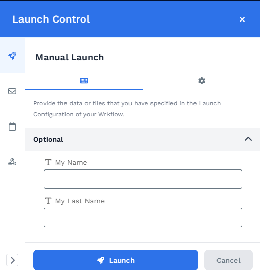 Manual Launch panel showing optional text inputs defined in the Wrkflow's Launch Configuration